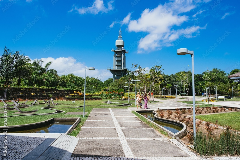 Φωτογραφία Beautiful scenery of the Mangal Das Garcas park in the city of Belem in Brazil