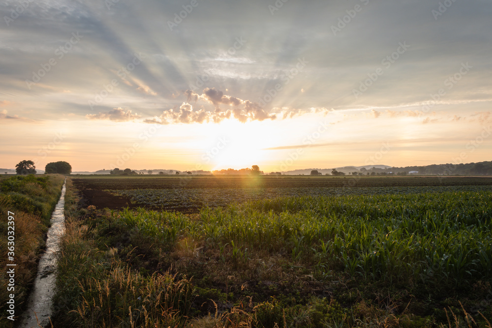 Obraz premium Stellar Sunrise over farm fields in the Black Dirt section of Pine Island, NY
