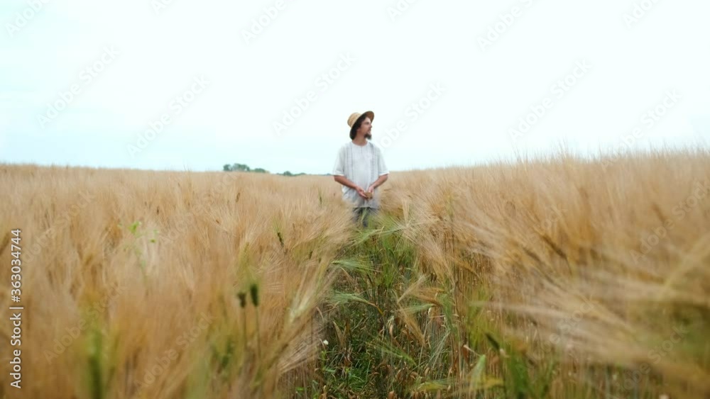 Stylish farmer of Caucasian appearance with a hat and beard walks in the field and looks at the wheat harvest