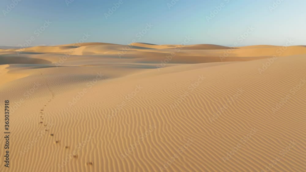 Calming abstract wavy texture on the wild desert surface. 4K drone view over the scenic massive golden dunes and blue sky above. Beautiful aerial video of nature landscape at sunrise, California, USA Calming abstract wavy texture on the wild desert surface. 4K drone view over the scenic massive golden dunes and blue sky above. Beautiful aerial video of nature landscape at sunrise, California, USA