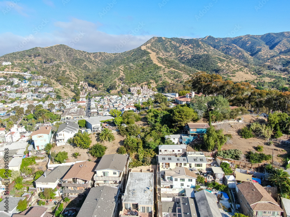 Aerial view of Avalon downtown in Santa Catalina Island, famous tourist attraction in Southern California, USA