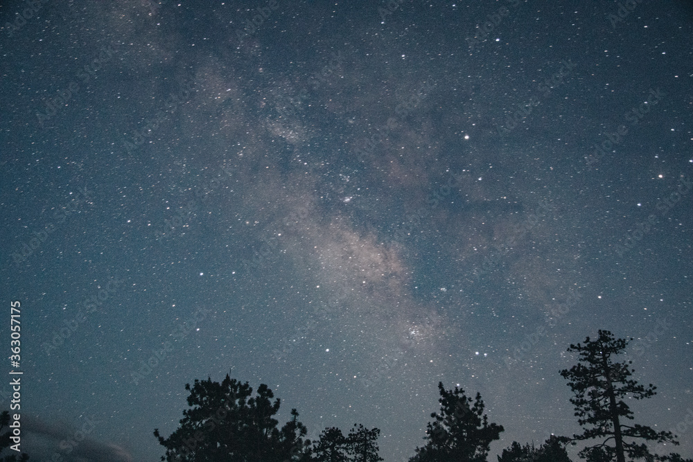 Fototapeta premium starry night sky