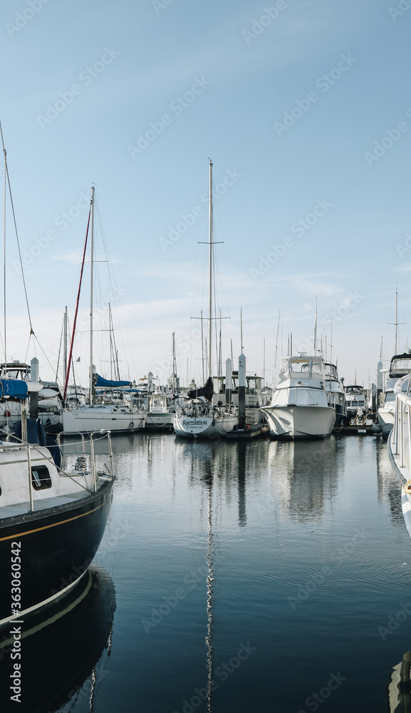 boats at the marina