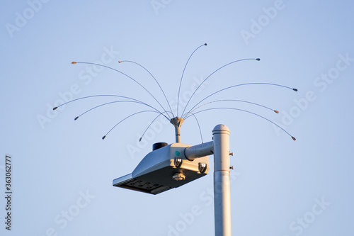 Humane bird deterrent device installed on top of a street lamp; San Francisco Bay Area, California