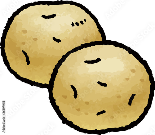 じゃがいもの手描きベクターイラスト