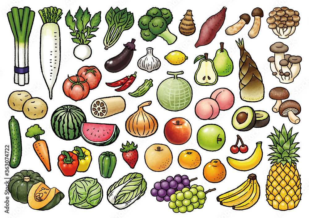 野菜 果物の手描きベクターイラストセット Stock Vector Adobe Stock