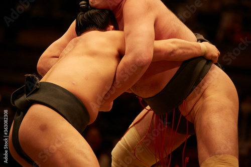 sumo