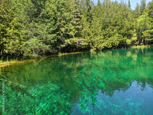 lake in the park