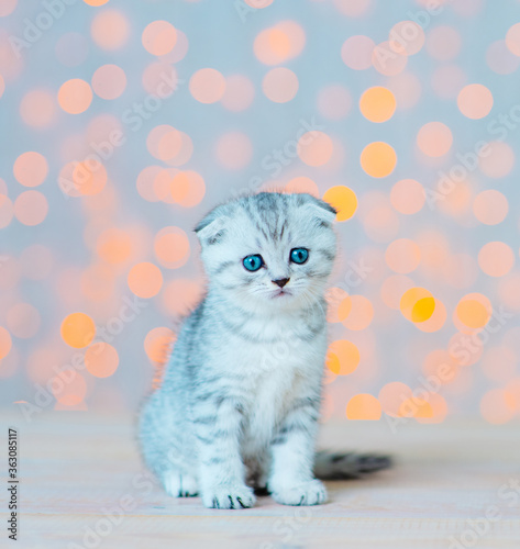 A little cute striped kitten with blue eyes sits on a background of white-yellow lights and looks at the camera © Ermolaeva Olga