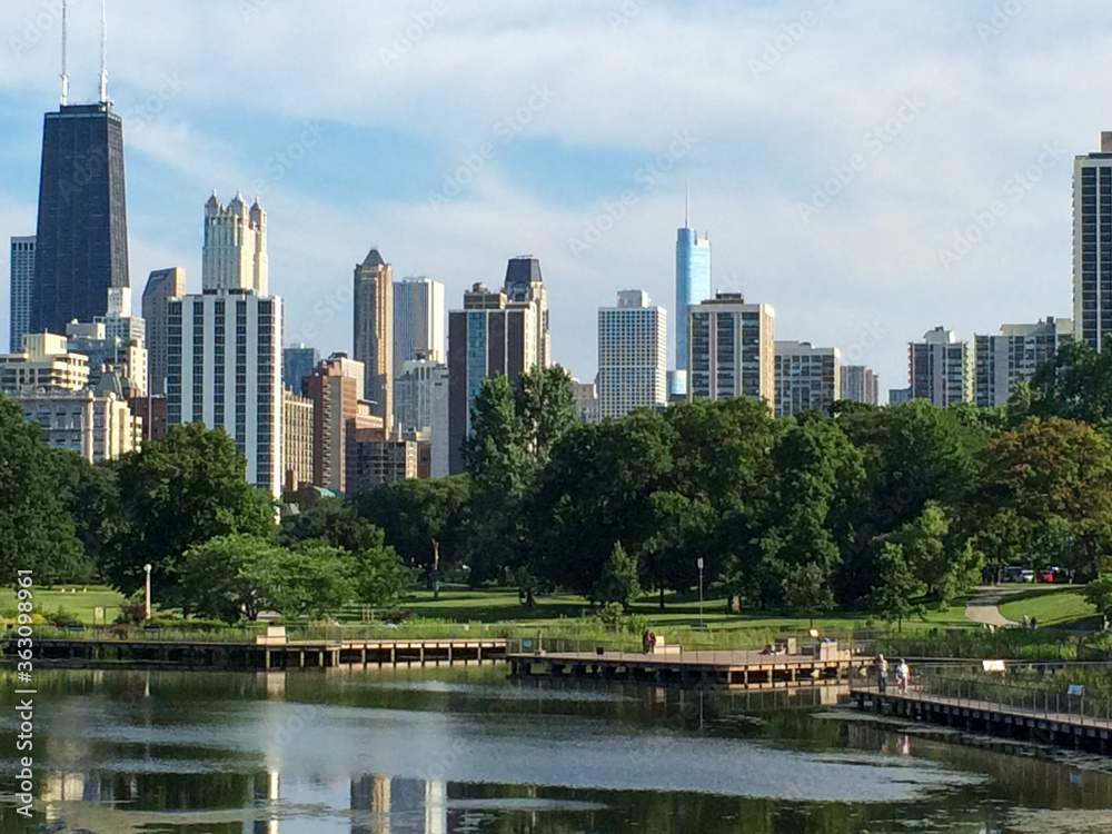 view of downtown Chicago from Lincoln Park