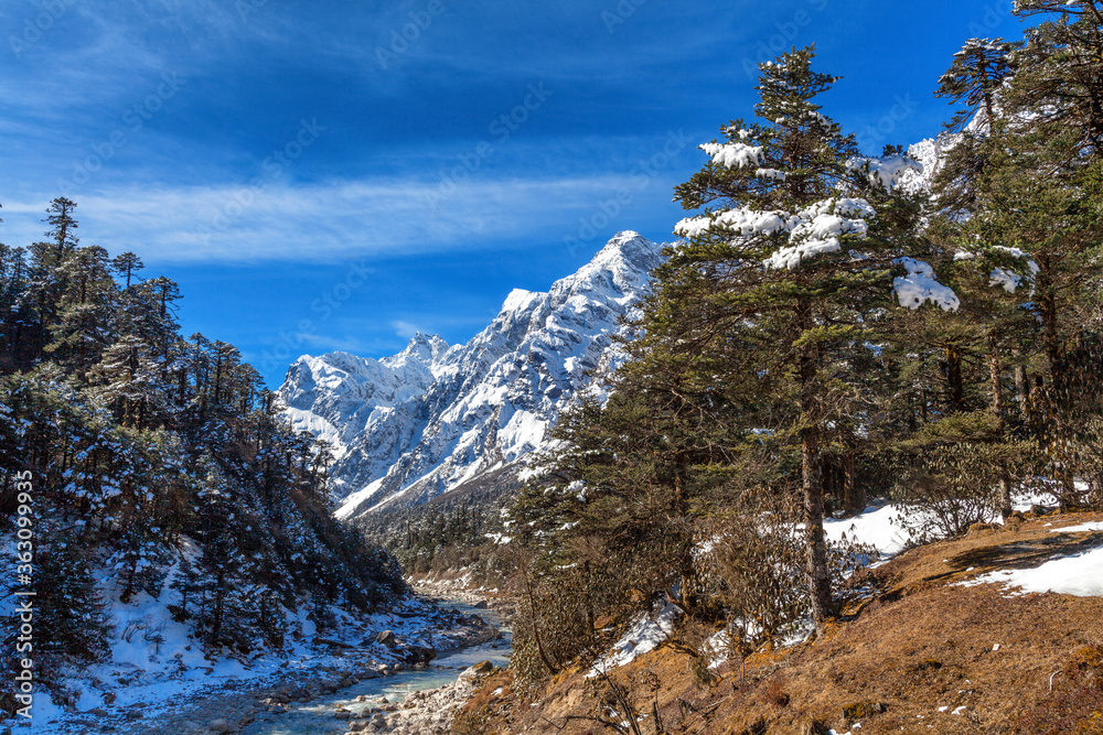 Beautiful scenic image of the Himalayan range as seen from Yumthang valley in Sikkim, India