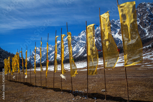 Yellow Tibetan prayer flag on grass field near Yumthang Valley in winter at Lachung. North Sikkim, India. photo