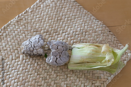 The huitlacoche or cuitlacoche, is a fungus of the family Ustilaginaceae Mexico. photo