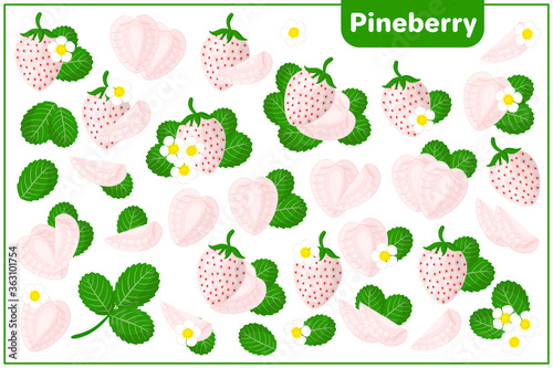 Set of vector cartoon illustrations with Pineberry exotic fruits, flowers and leaves isolated on white background