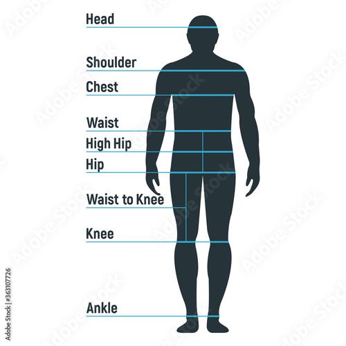 Male size chart anatomy human character, people dummy front and view side body silhouette, isolated on white, flat vector illustration.