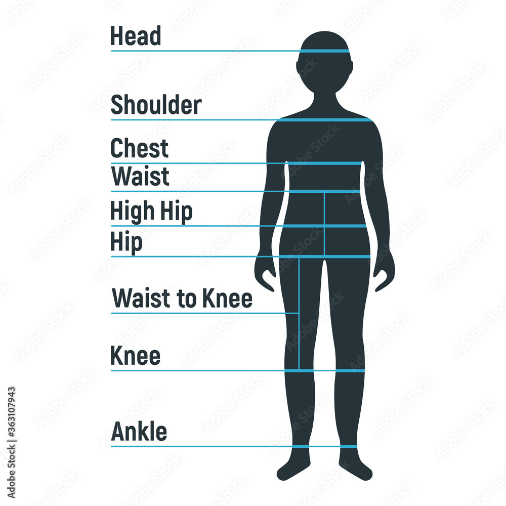 Male size chart anatomy human character, people dummy front and view ...