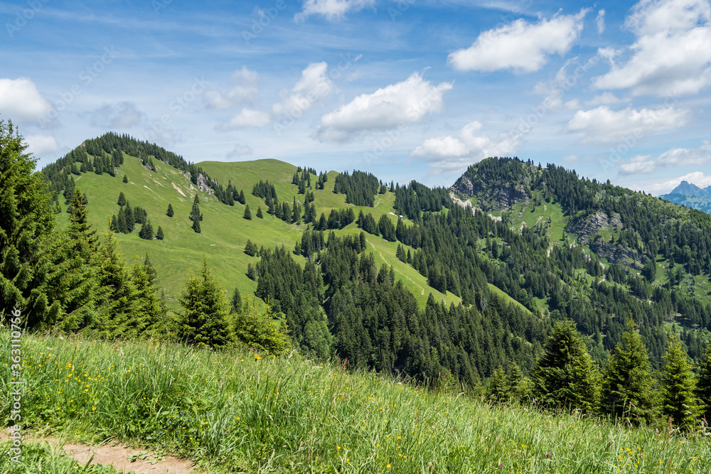 Landscape around Bad Hindelang in Bavaria, Germany