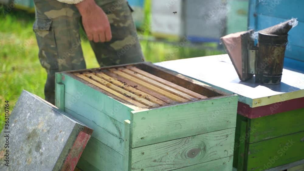 Apiarist with beehives. Chimney with smoke on a hive. Farmer working in the apiary in summer. Beekeeping concept. Apiarist with beehives. Chimney with smoke on a hive. Farmer working in the apiary in summer. Beekeeping concept.