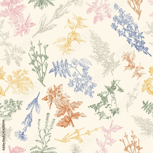 Herbal seamless pattern. Medical forest vintage plants. Herbs design for cosmetics, store, beauty salon, natural and organic products. Can be used like a texture and fabric print. Vector illustration.