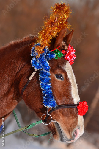 Funny red horse with a white nose with a blue garland on his head and antlers on the background of falling snow and snowdrifts in winter on the street. Vertical portrait. Happy New Year and Christmas!