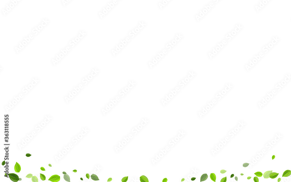 Fototapeta premium Lime Leaves Transparent Vector Border. Tea Greens 
