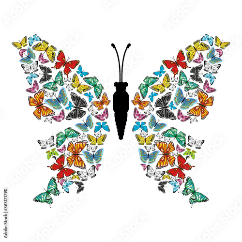 The butterfly is composed of other multi-colored butterflies