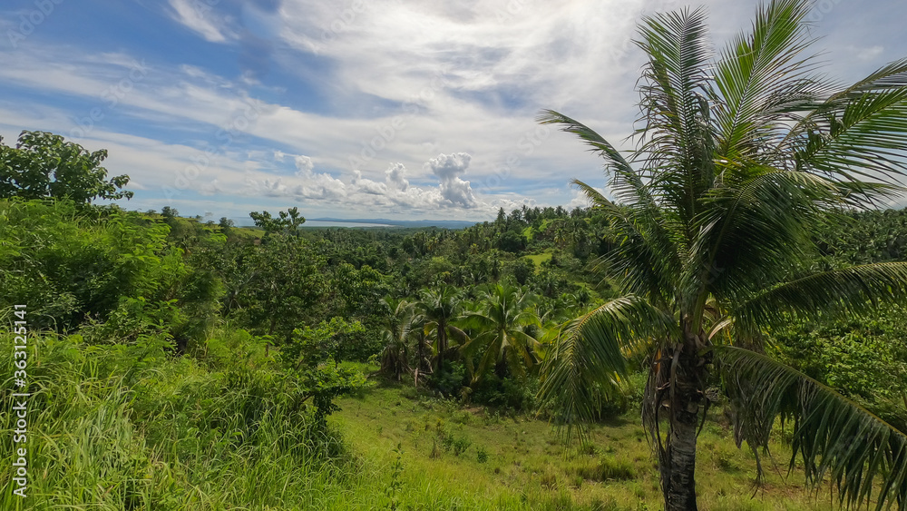 custom made wallpaper toronto digitalview from a mountain on a tropical island
