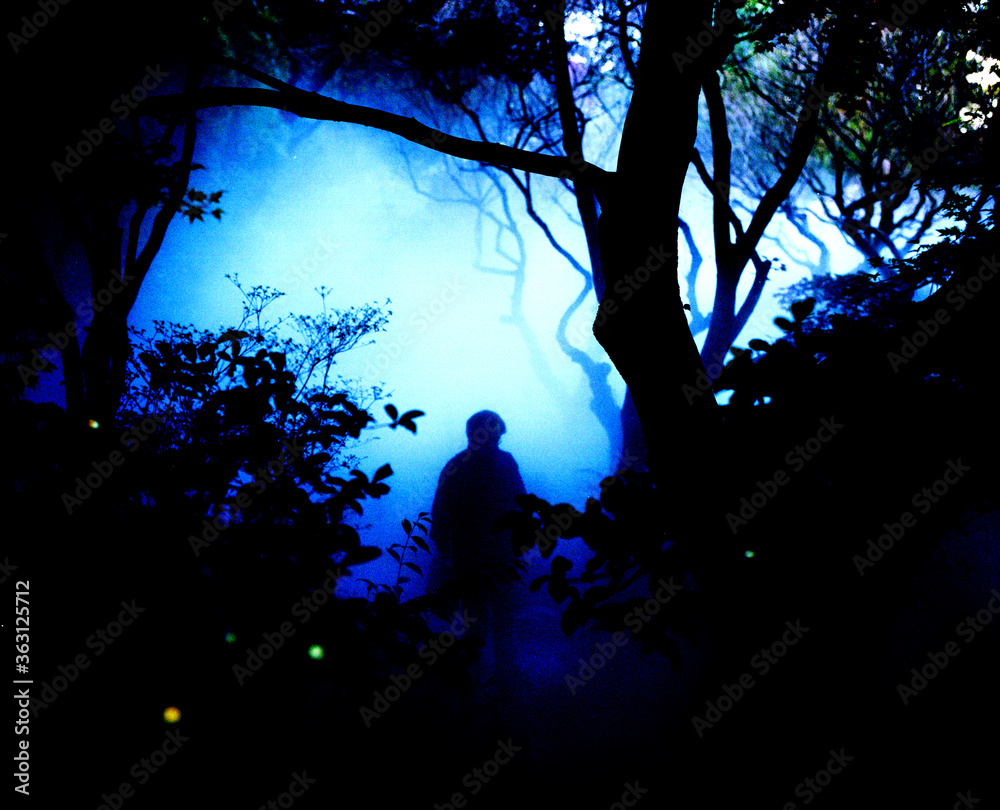 silhouette of a girl in a forest silhouette of a girl in a forest