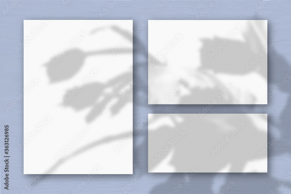 Several horizontal and vertical sheets of white textured paper on the background of a blue wall. Natural light casts shadows from an exotic plant. Flat lay, top view Several horizontal and vertical sheets of white textured paper on the background of a blue wall. Natural light casts shadows from an exotic plant. Flat lay, top view