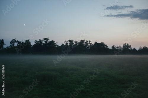 Ribe, Denmark -20 aug 2015- Misty field at dusk photo