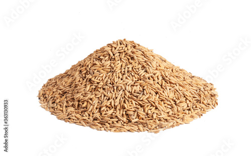 golden rice paddy ear isolated on a white background, organic farming rice paddy with natural colour