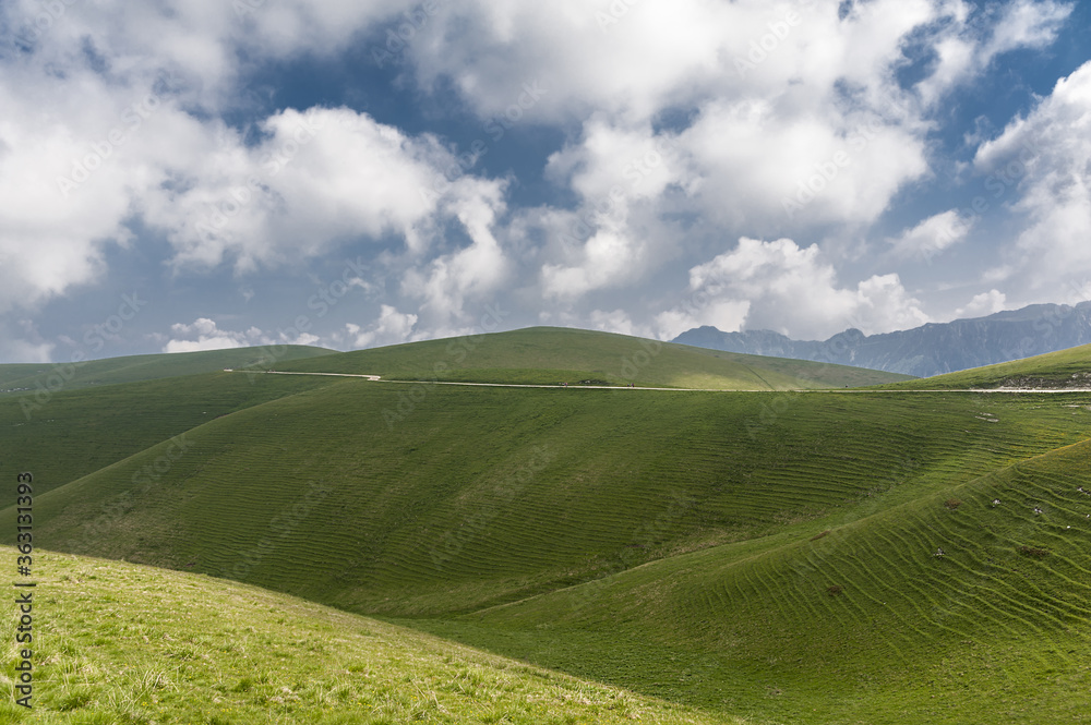 Obraz premium landscape with green grass and blue sky