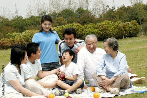 A big family picnicking in the park
