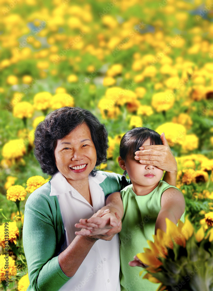 An old lady covering her granddaughter's eyes letting her touch the flowers in the park An old lady covering her granddaughter's eyes letting her touch the flowers in the park