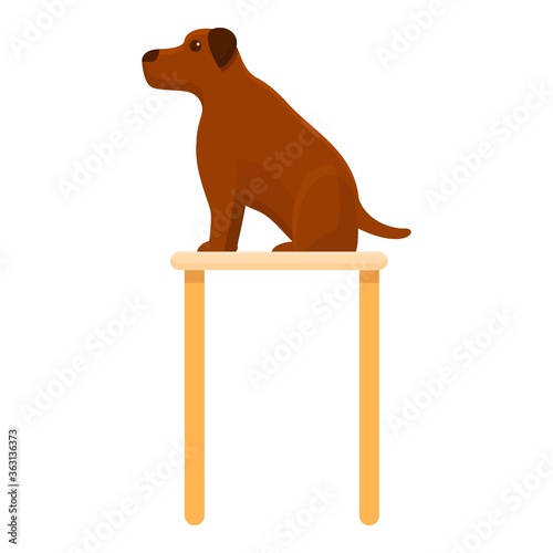 Dog on groomer table icon. Cartoon of dog on groomer table vector icon for web design isolated on white background