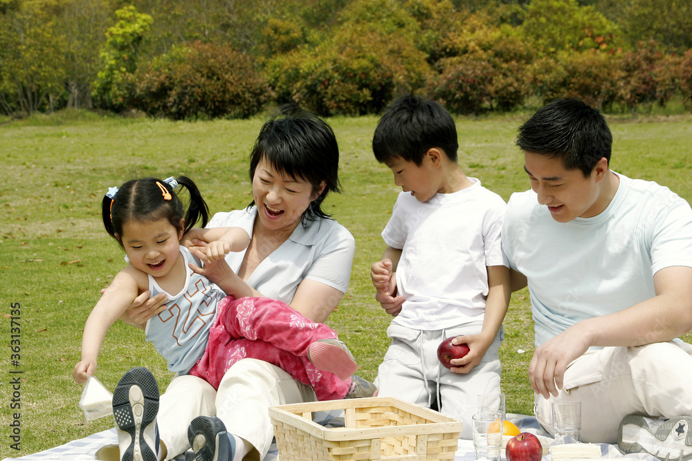A family picnicking in the park A family picnicking in the park