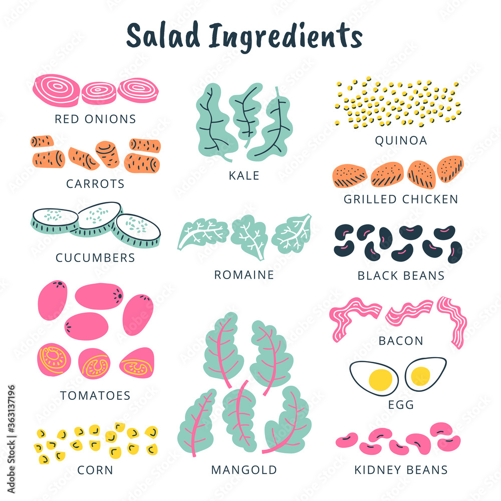 Salad ingredients illustration, colorful, isolated Salad ingredients illustration, colorful, isolated