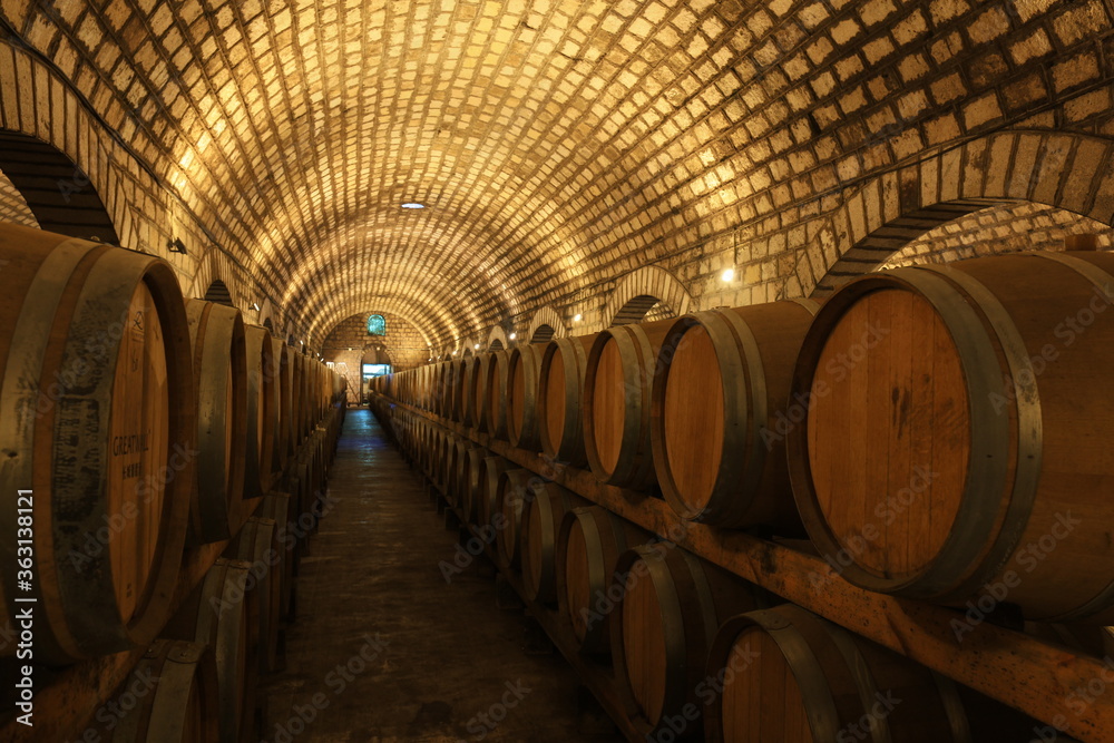 Oak barrels in wine cellars, Changli County, Hebei Province, China