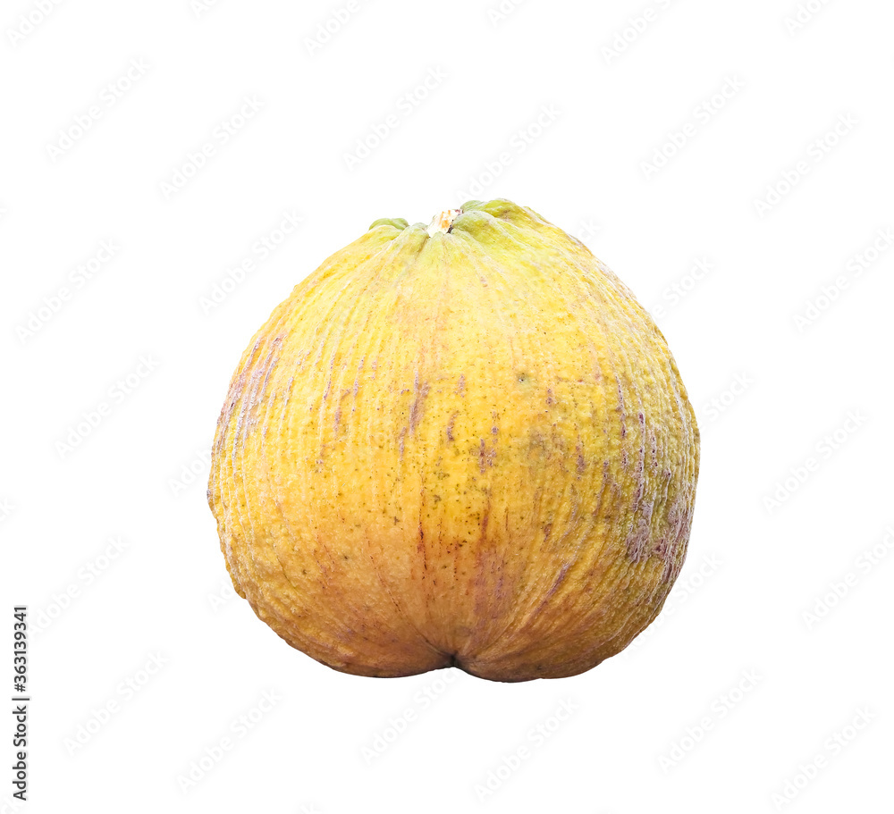 Santol fruit or sandoricum koetjape burm isolated on white background , clipping path