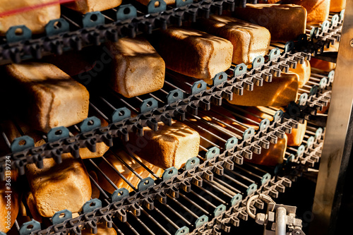 Fresh hot baked breads on automated production line bakery. Manufacture industrial