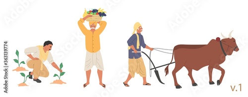 Indian farmer male character set, vector flat isolated illustration. People ploughing field with ox before sowing, planting and harvesting fruit. Indian farming industry.