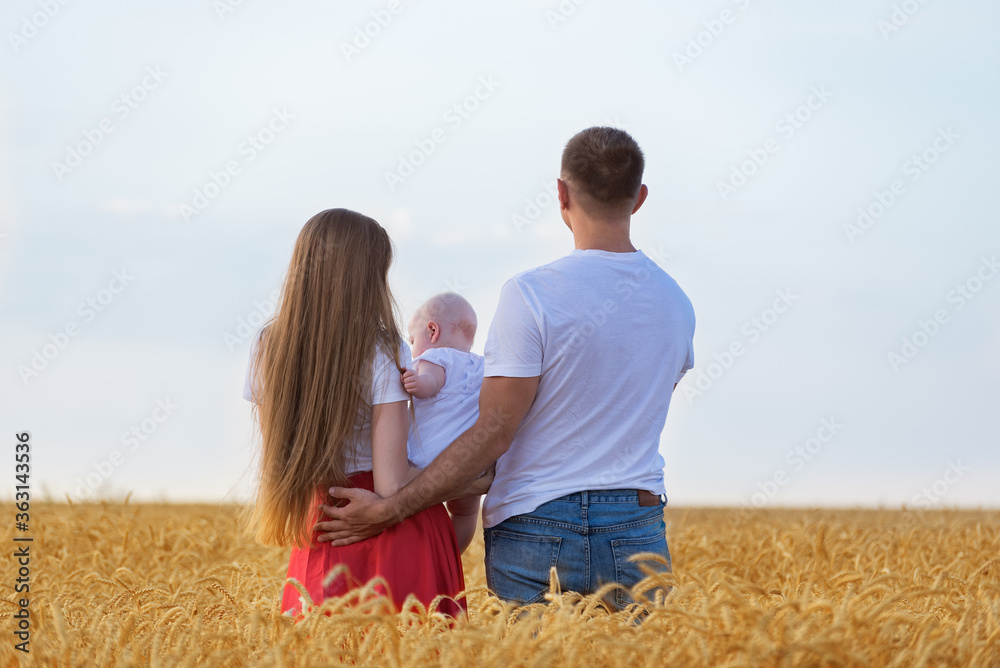 Young family in wheat field with small child. Mom dad and baby. Back view.