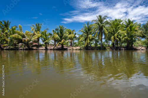 The coconut trees were planted in a long line. Reflected with the beautiful water surface. © Arucha