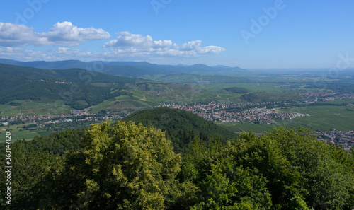 Blick in das Münstertal in den Vogesen im Elsass