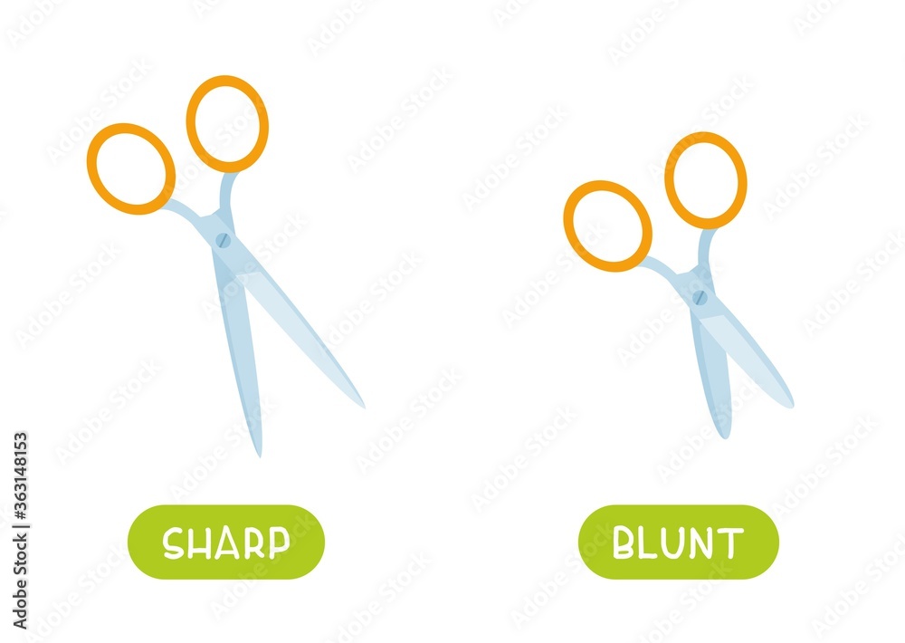 Antonyms concept, SHARP and BLUNT. Educational flash card with