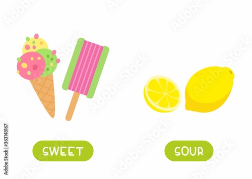 Antonyms concept, SOUR and SWEET. Lemon and ice cream. Educational flash card with food of different tastes template. Word card for english language learning with opposites. Flat vector illustration 