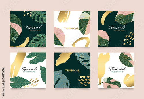 Golden tropical leaves square cover design vector set. Social media stories and post template.
