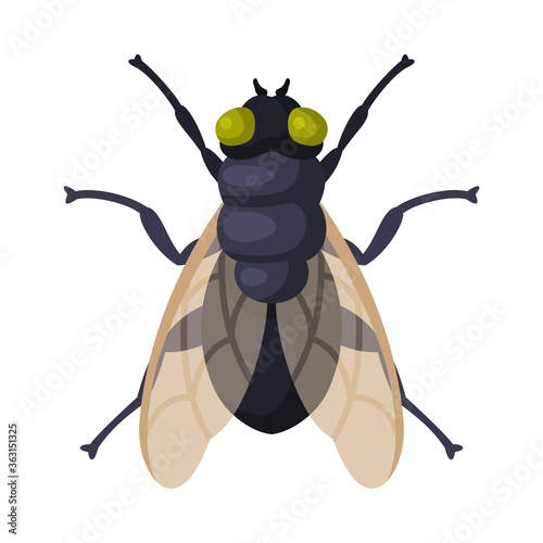 Fly Insect, Pest Control and Extermination Concept Vector Illustration on White Background