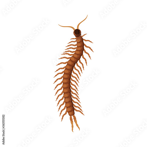 Scolopendra Insect, Pest Control and Extermination Concept Vector Illustration on White Background
