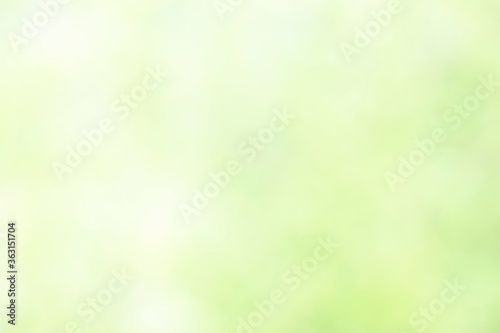 Background leaves on a light green background mixed with white.